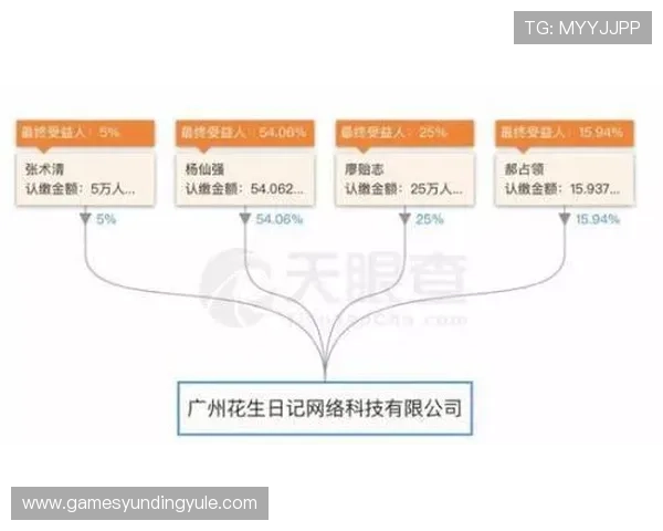 云顶公司是否涉及传销：从法律角度分析其商业行为的合规性与风险